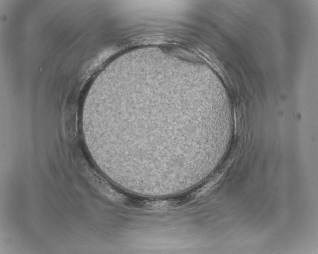 X0000077330301200611171814