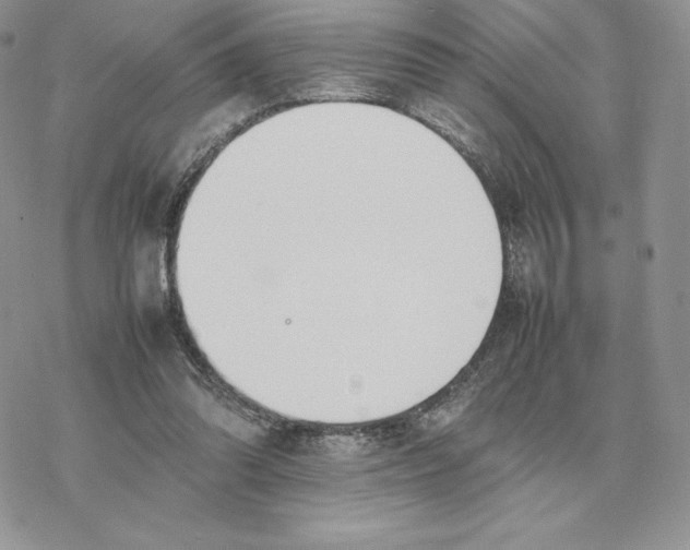 X0000077330302200611171814