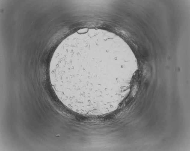 X0000077330303200611171814