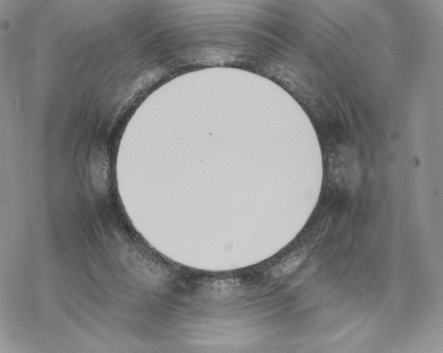 X0000077330304200611171814