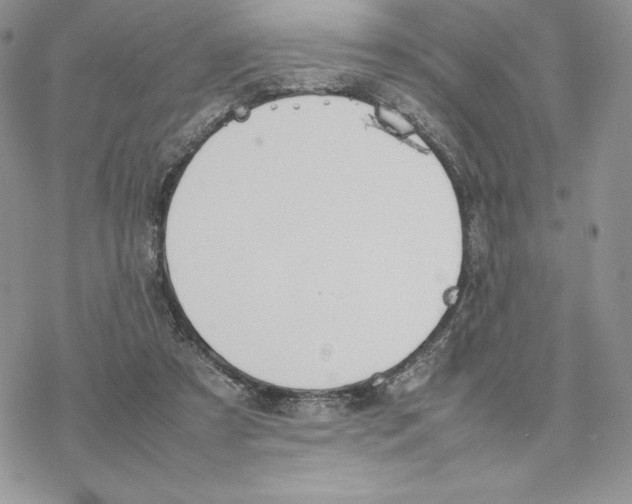 X0000077330305200611171814