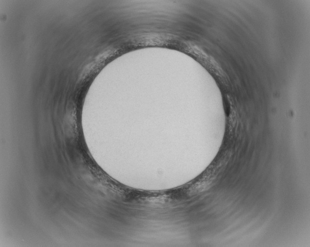 X0000077330306200611171814