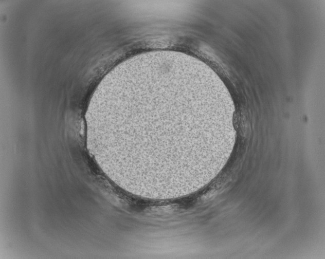 X0000077330307200611171814