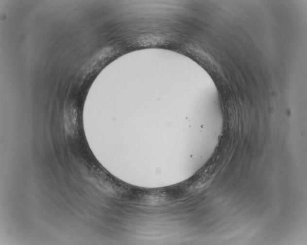 X0000077330308200611171814