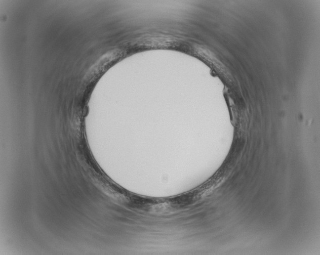 X0000077330309200611171814