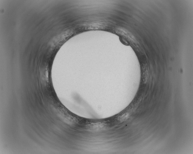 X0000077330310200611171814