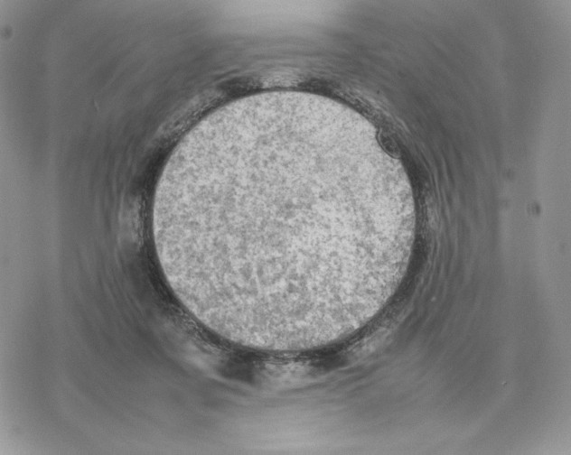 X0000077330311200611171814