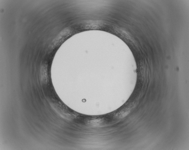 X0000077330312200611171814