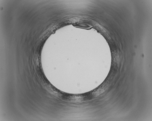 X0000077330313200611171814