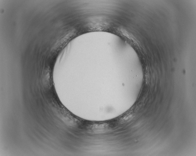 X0000077330314200611171814