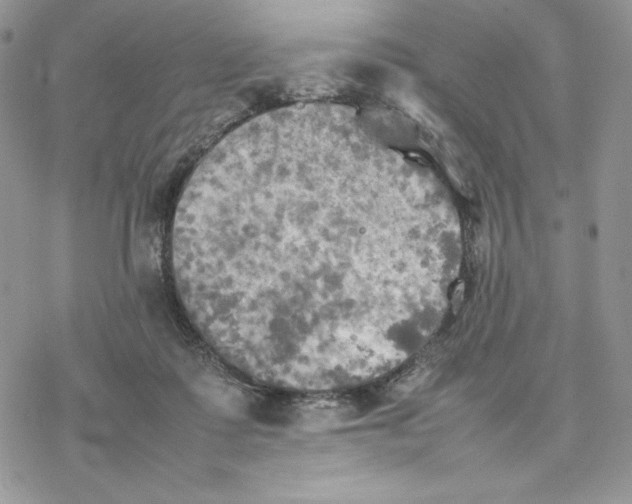 X0000077330315200611171814