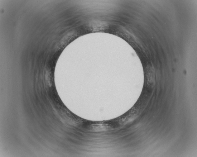 X0000077330316200611171814