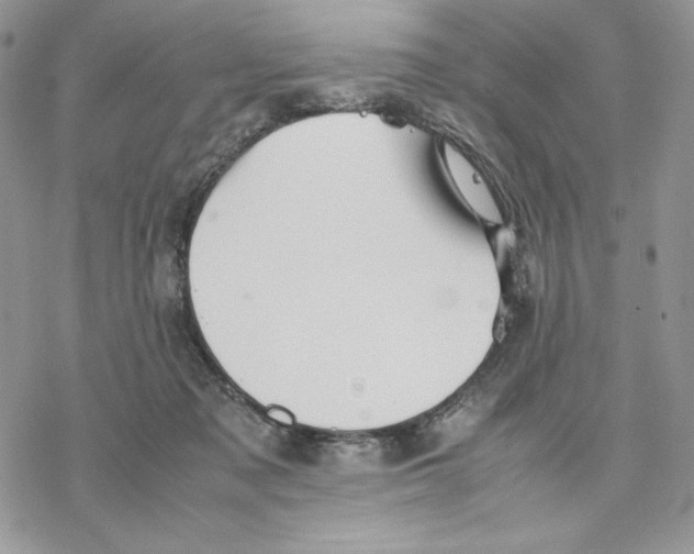 X0000077330317200611171814