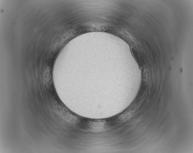 X0000077330318200611171814