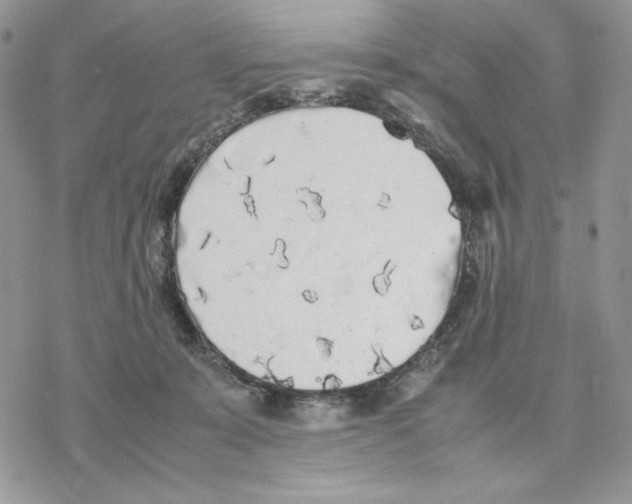 X0000077330319200611171814