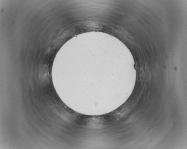 X0000077330320200611171814