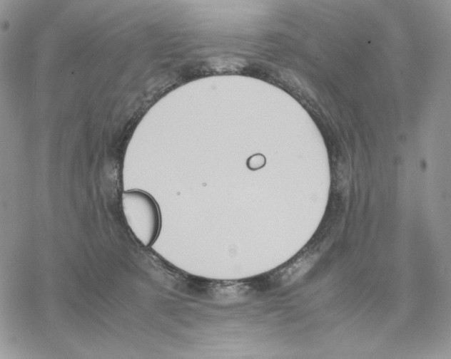 X0000077330321200611171814