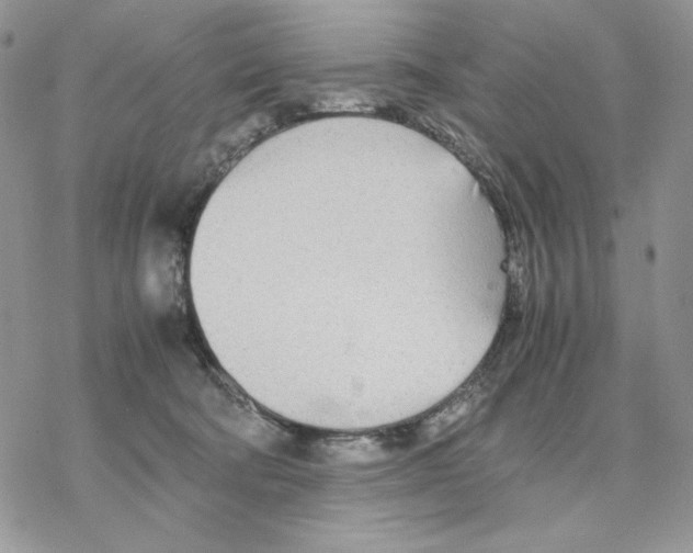 X0000077330322200611171814