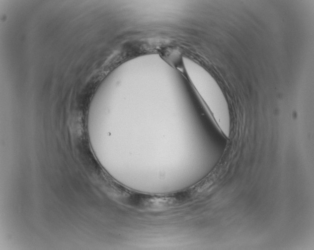 X0000077330323200611171814