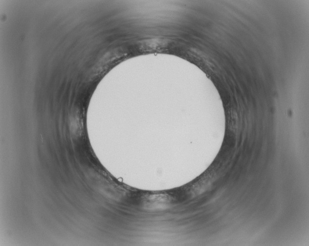 X0000077330324200611171814