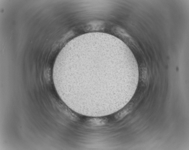 X0000077330326200611171814