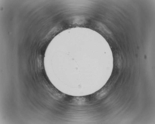 X0000077330328200611171814