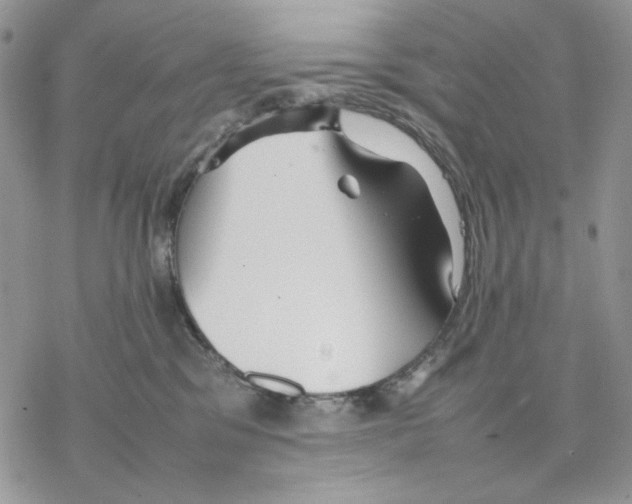 X0000077330329200611171814