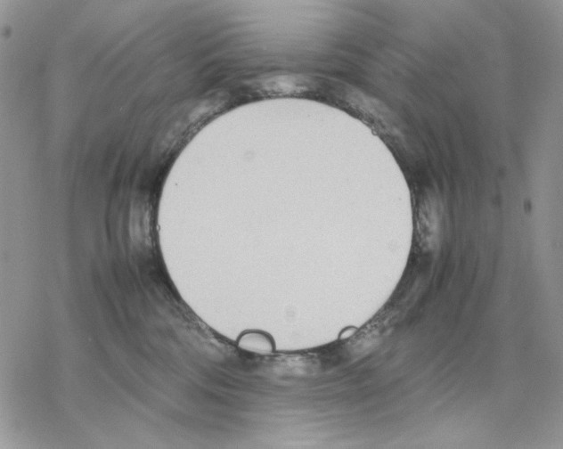 X0000077330330200611171814