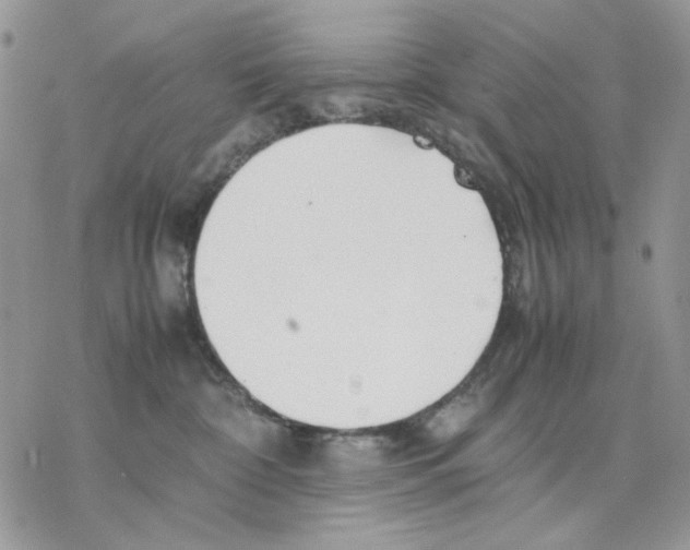 X0000077330332200611171814