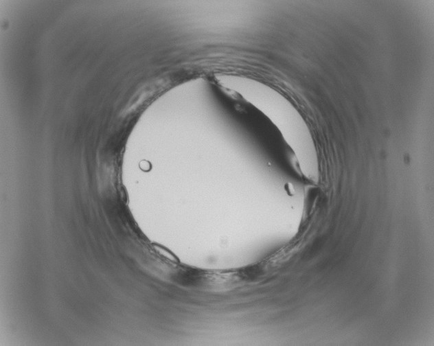 X0000077330333200611171814