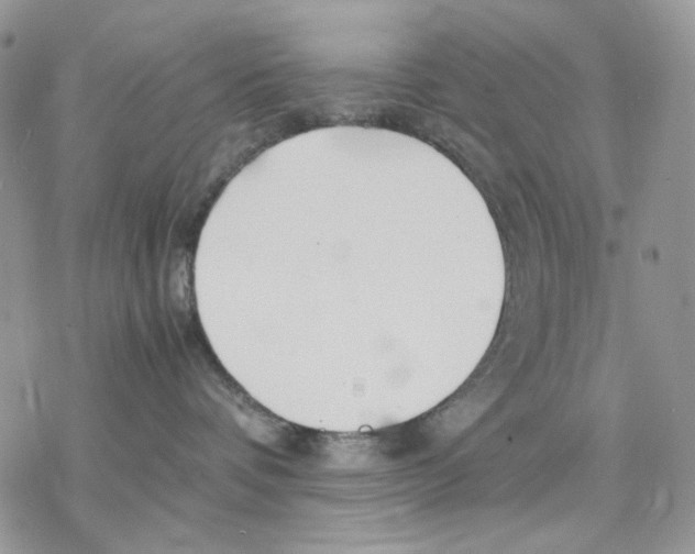 X0000077330336200611171814