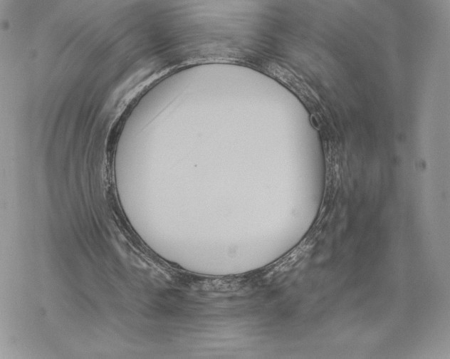 X0000077330338200611171813