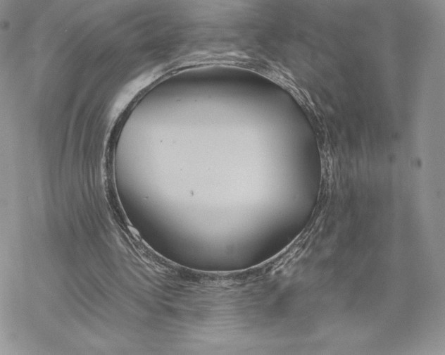 X0000077330340200611171813