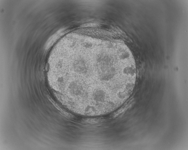 X0000077330341200611171813