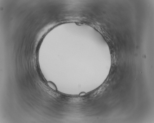 X0000077330342200611171813