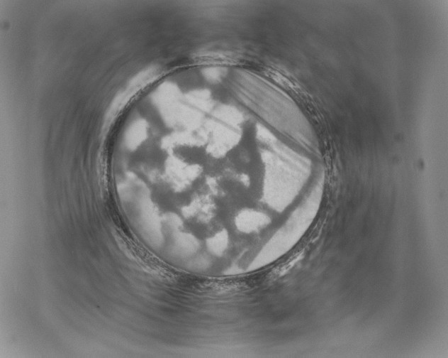 X0000077330343200611171813