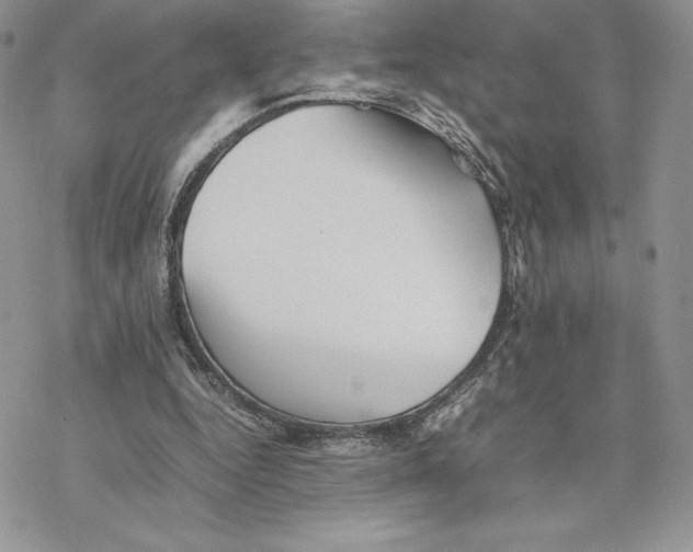 X0000077330344200611171813