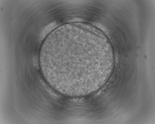 X0000077330345200611171813