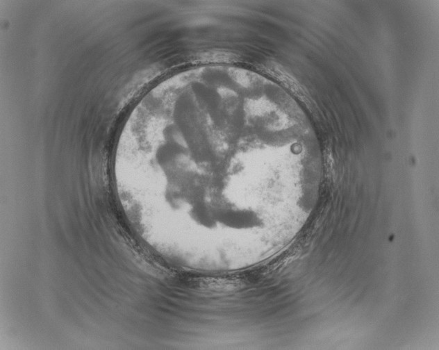 X0000077330347200611171813