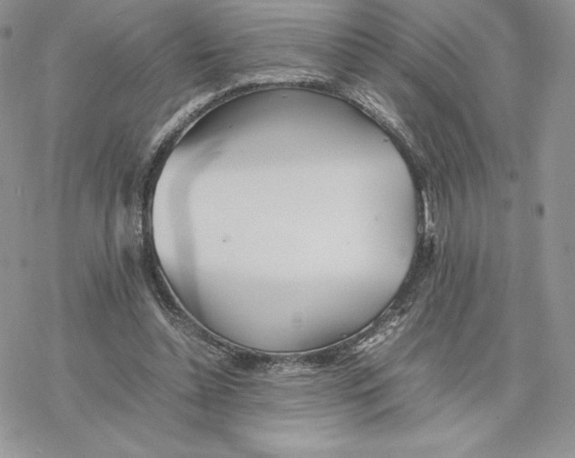 X0000077330348200611171813