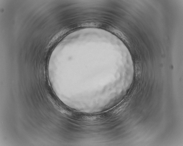 X0000077330349200611171813