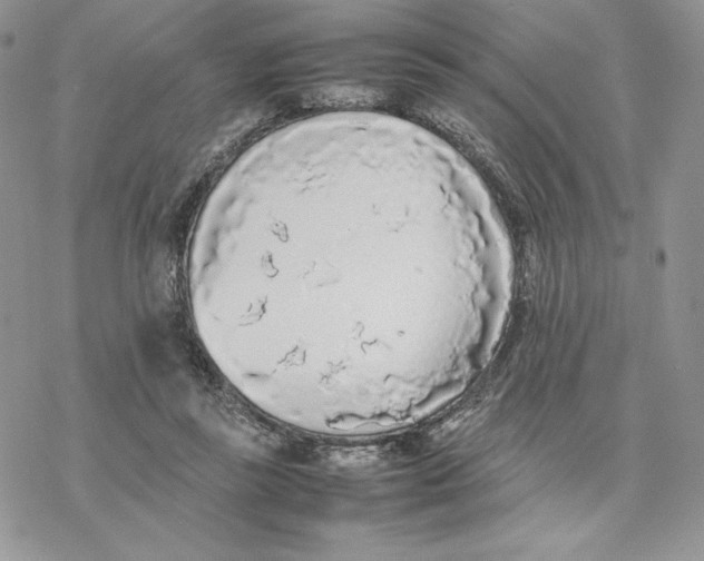 X0000077330355200611171813