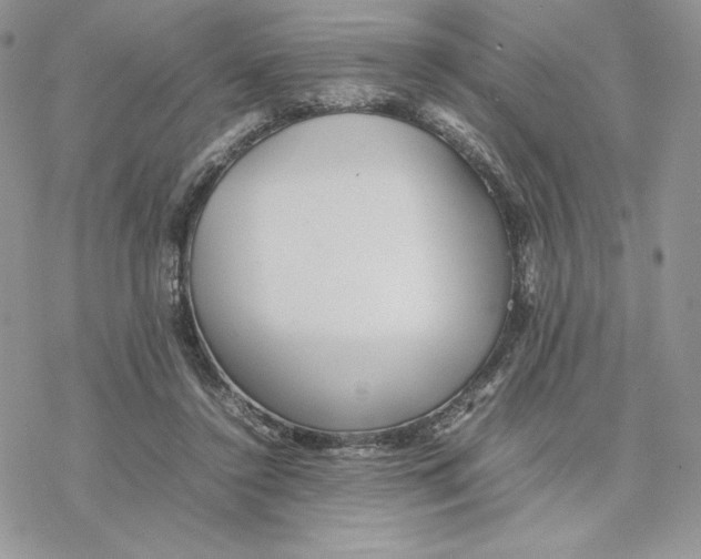 X0000077330356200611171813