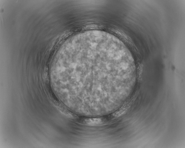 X0000077330361200611171813