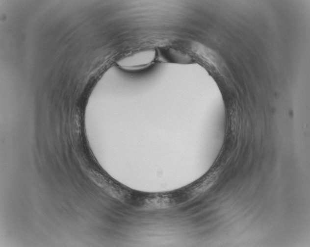 X0000077330362200611171813