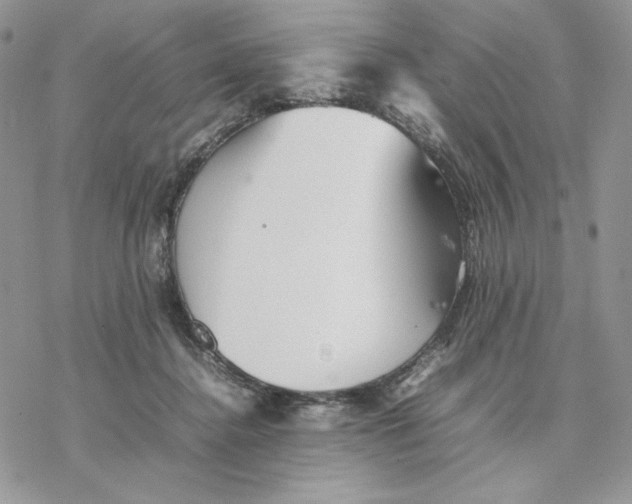 X0000077330364200611171813