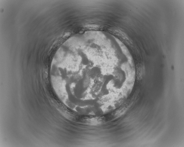 X0000077330365200611171813