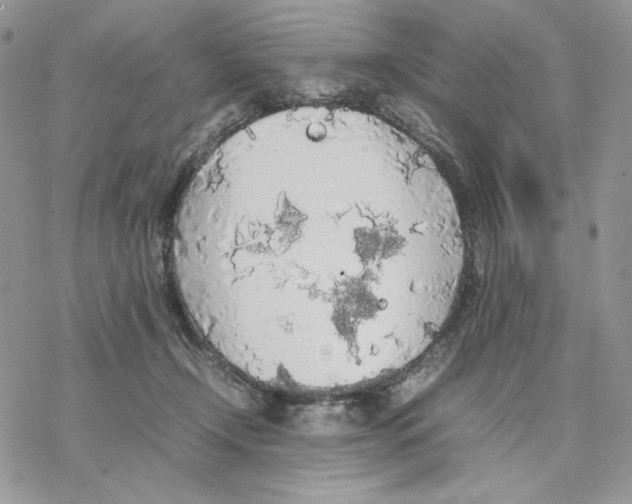 X0000077330366200611171813