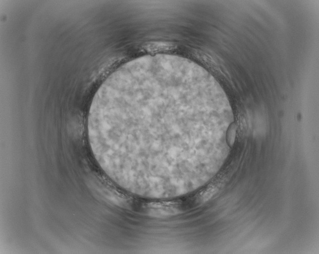 X0000077330367200611171813