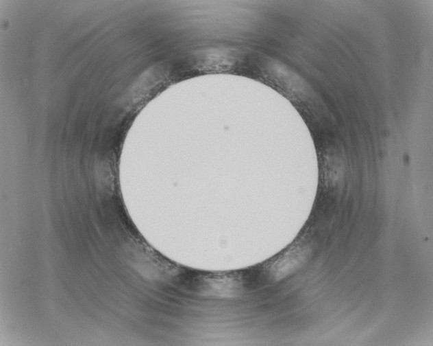 X0000077330370200611171813